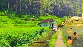 Bagai Serpihan Surga, Ternyata Ada Kampung Seindah Ini Di Kabupaten Tasikmalaya, Pedesaan Jawa Barat