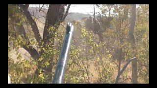 Elephant hunt in Africa.  Hunting at it's best