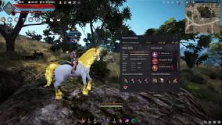 Black Desert: P2 Getting the Perfect Skills on Your T9 Cheaply (ex. Dine / Unicorn)