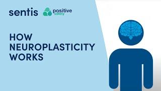 Neuroplasticity