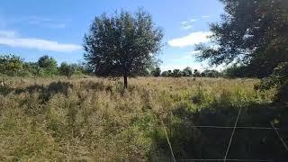 Loxahatchee, FL land for sale