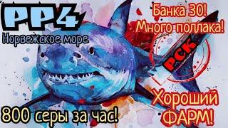 РР4. Норвежское море. Супер ФАРМ на Банке 30! 800 серебра за час! Много поллака!