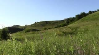 Footage, Video screensaver – Nature of the Kuban. Russia, North Caucasus. Футаж, – Природа Кубани.