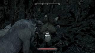 Skyrim Easy High Elf Blood Harvest Location / Discerning the Transmundane