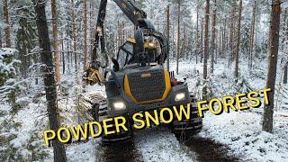 Powder snow forest - harvesting winter forest - Ponsse scorpion