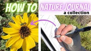 How to Nature Journal: A Collection