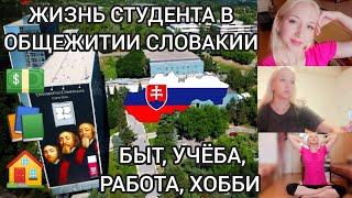 ЖИЗНЬ И РАБОТА студента в Словакии: выбор комнаты и почта в общежитии, учёба, быт | Словакия VLOG