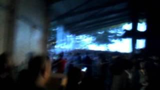 Bonnaroo before the show.