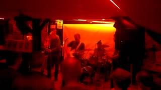 Ben Vaughn - Growin' A Beard (French Tour 2013)