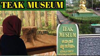 Nilambur Teak Museum/വരൂ നിലമ്പൂർ കാഴ്ച്ചകളിലേക്ക്.../World's First Teak Museum/Rubyn's World