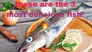 these are the 3 most delicious fish!