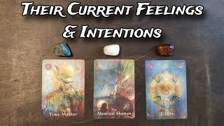  Their Current Feelings & Intentions Towards You   Pick A Card Love Reading