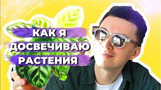 Подсветка для Комнатных Растений » Светильники IKEA и LED лампы