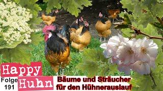 E191 Die besten Bäume und Sträucher für den Auslauf der Hühner, Ziergehölze und Obstbäume HAPPY HUHN