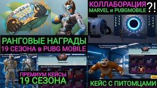 КОЛЛАБОРАЦИЯ С MARVEL??! РАНГОВЫЕ НАГРАДЫ 19 СЕЗОНА В PUBG MOBILE! ПРЕМИУМ КЕЙСЫ И КЕЙС С ПИТОМЦАМИ!