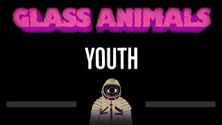 Glass Animals • Youth (CC)  [Karaoke] [Instrumental Lyrics]