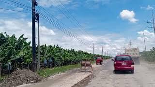 Huge Banana plantation in Davao del Norte