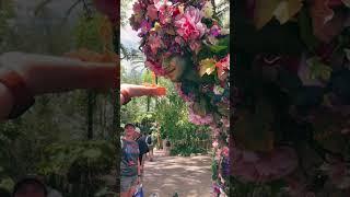 Disney Garden Festival Women Gifts for Floral Lovers 