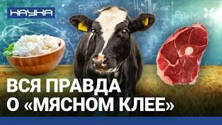 «Мясной клей» — запретная пищевая добавка. Что это такое и чем он опасен? | НАУКА