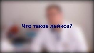 #СПРОСИВРАЧА. Алексей Пшонкин о лейкозе и жизни после него