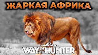 WAY OF THE HUNTER ПРОХОЖДЕНИЕ ► НОВАЯ КАРТА TIKAMOON PLAINS - АФРИКА ► СИМУЛЯТОР ОХОТЫ ► RTX 4090 #1