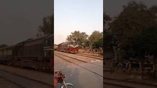 #azeemvlogs #cow #bolleywoodsong #automobile #funnyclip #funny #funnymovie #comedy