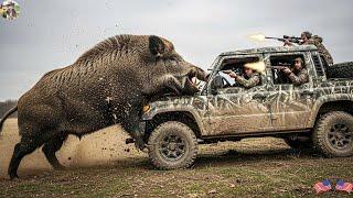 Crazy Wild Boar Monster Attacked Our Car Head-on - What Should We Do to Survive? | Wild Boar Hunting