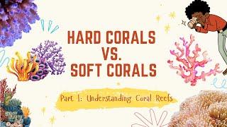 Understanding Coral reefs - Hard corals vs. Soft Corals