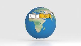 About DynaMesh®