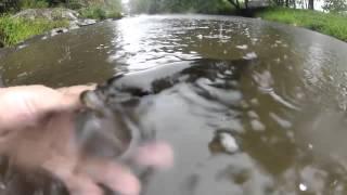 Elk Creek Short