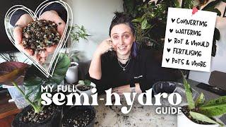 The Beginner’s Guide to Semi-Hydroponics  Is It Right for Your Plants?