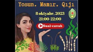 Sual cavab (Yosun Mamir Qiji)