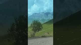 #осетия #кавказ #дорога #automobile #travel #mountains #горы