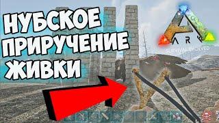 Самое НУБСКОЕ Приручение ГРИФОНА в ARK Survival Evolved! Как Приручить ТУСОТЕУТИСА в АРК?!