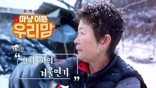 마냥 이쁜 우리맘 33회 풀영상 [묘자씨의 겨울연가]