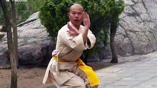 Shaolin Kung Fu Combat Styles: 5. 7-star form (七星拳: qixing quan)