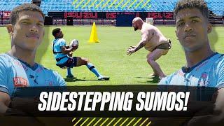 Springboks vs Sumos in the ULTIMATE Sidestepping Challenge!