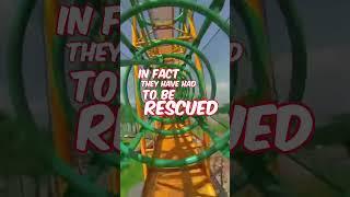 Virtual Reality Roller Coaster