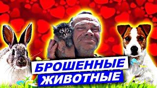 ПОЧЕМУ ДЯДЯ ЮРА НЕ КОРМИТ КРОЛИКОВ ,СОБАКУ и КОШКУ? ЗАЧЕМ ПРОПИЛ ДЕНЬГИ НА КОМБИКОРМ? ХОЧУ ПОЖРАТЬ