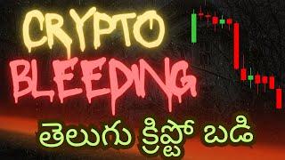 Crypto Crash Reasons | Telugu Crypto Market Update | Telugu Crypto Badi Live