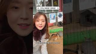 토끼는 깡총깡총 뛸까, 깡충깡충 뛸까? #shorts