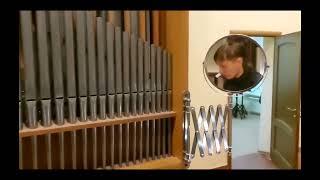 V. Lebedev MusicFenix - Organ. J. S. Bach - Little Prelude in D minor.