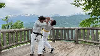 Kata Dori Shiho Nage