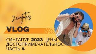 Сингапур 2023 Цены Достопримечательности Часть 4