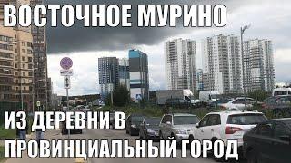 ВОСТОЧНОЕ МУРИНО | ОБЗОР РАЙОНА | МЕТРО ДЕВЯТКИНО