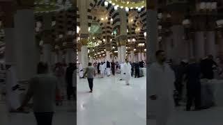 Best Masjid On earth|madinah live today #masjidalnabawi