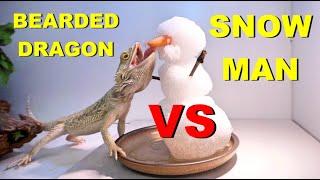 Freezing Cold Snowman VS My Bearded Dragon !! *Must Watch* !!