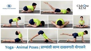 Yoga - Animal Poses | प्राण्यांशी साम्य दाखवणारी योगासने | ClubOne KEM | Hinduja Foundation