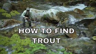How to Find Trout in Rivers & Streams
