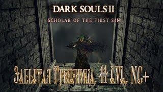 Забытая Грешница [The Lost Sinner], 11 LVL, NG+ Dark Souls 2: Scholar of the First Sin #